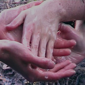 Los registros en mi carne