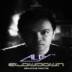 Slowdown (Original Mix)