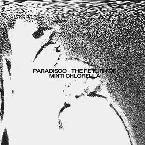 Some Kind Of Sleeping Creature (Radio Edit)