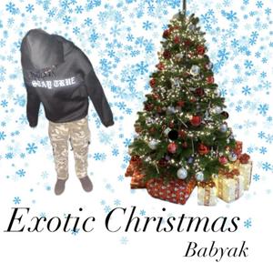 Exotic Christmas (Explicit)