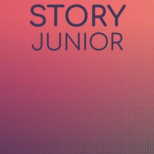 Story Junior