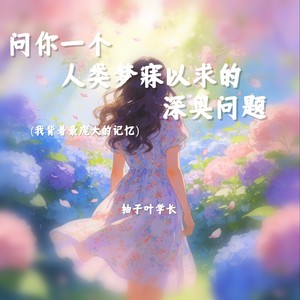 问你一个人类梦寐以求的深奥问题 (我背着最庞大的记忆)