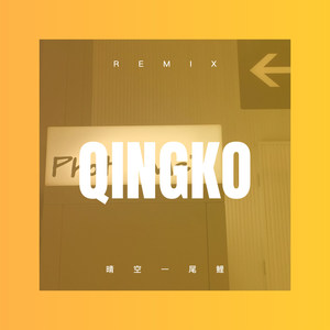 晴空一尾鲤 (Remix)