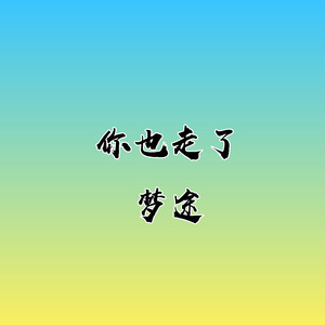 你也走了