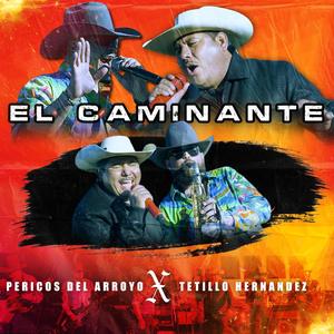El Caminante (feat. Tetillo Hernandez) (En vivo)