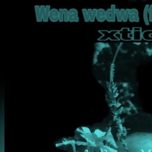 Wena wedwa (feat. Stweezy)