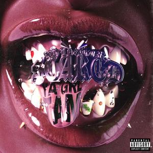 Family Ties (Explicit)