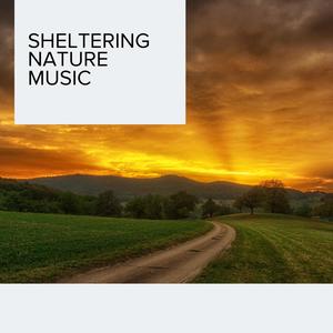 Sheltering Nature Music