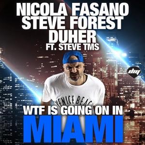 Wtf is Going on in Miami (Dub Mix)