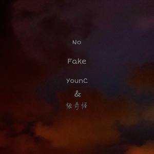 No fake Remix(feat.张奇怪)
