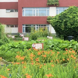 十二经络巡行歌