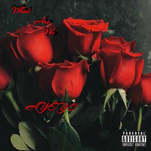 What Are We (Explicit)