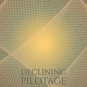 Declining Pilotage