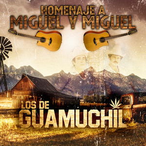 Que Bonito es el Amor