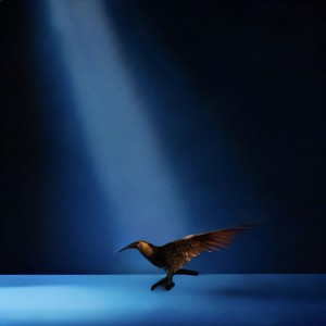 the bright side of my soul also have a brighter side (Extended)