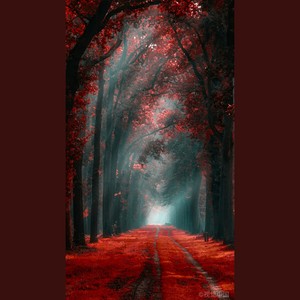 突然的自我 重编曲版