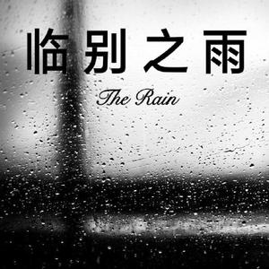 临別之雨☂