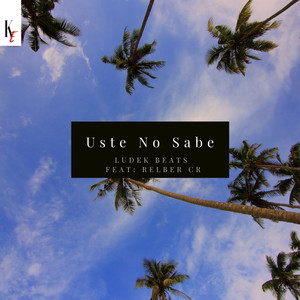 Usted No Sabe(feat. Relber CR)