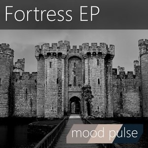 Mood Pulse (Hard Mix)