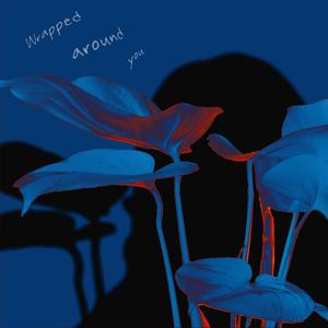 Wrapped Around You