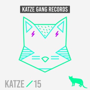 Katze 15