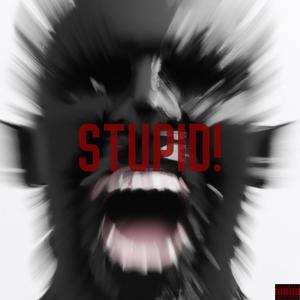 Stupid (feat. ChampionXiii) (Explicit)