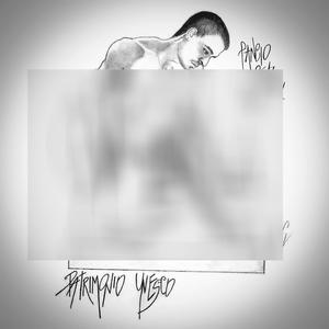 Utili Idioti (feat. Fiorello Mannaia)