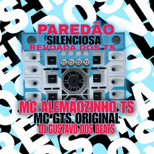 PAREDÃO SILENCIOSA - REVOADA DO TS (Explicit)