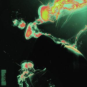 PLUS RIEN APRES (feat. Demas & Bellabio)