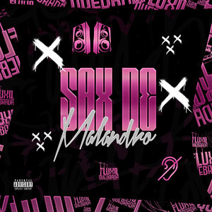 Sax de Malandro (Explicit)