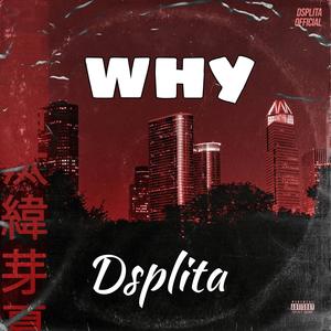 Why (Radio Edit|Explicit)
