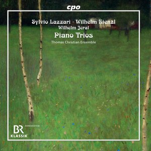 Piano Trio in G Minor, Op. 13 - Piano Trio in G Minor, Op. 13: I. Introduction. Adagio misterioso - Allegro con fuoco