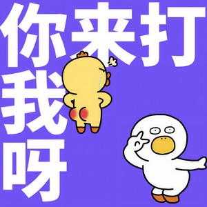 生活的鸭力 - 你来打我呀