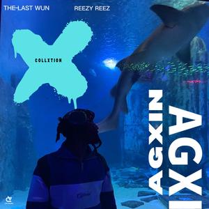 AGXIN (Explicit)
