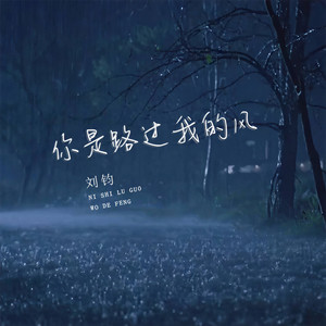 你是路过我的风