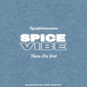 spice/vibe (Explicit)