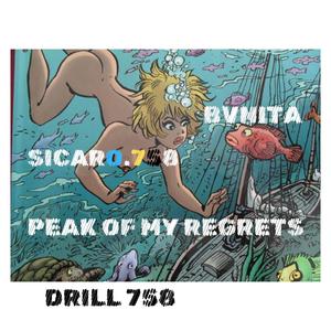 Peak Of My Regrets (Bvnita x Sicaro.758) (Explicit)