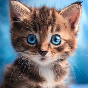 Estirón Bajo Las Estrellas