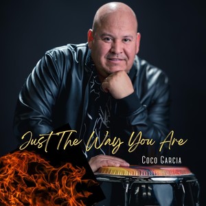 Just the Way You Are