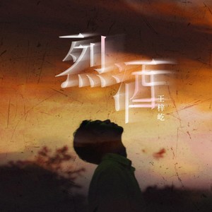 烈酒封面