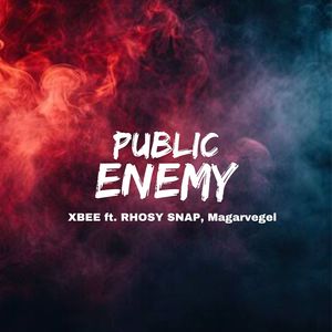 Public Enemy (Explicit)