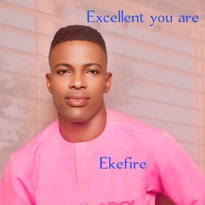 Excellent you are