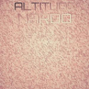 Altitude Nardo