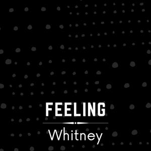 Feeling Whitney (Explicit)