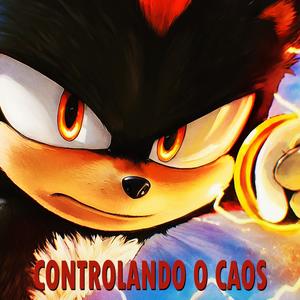 CONTROLANDO O CAOS | Shadow o Ouriço