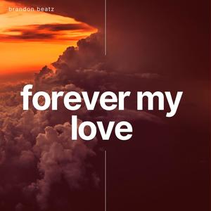 forever my love (feat. Versatil)