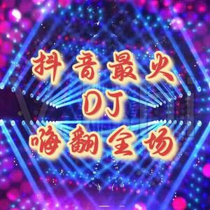 你是沙漠我是骆驼_ 帅霖【DJ House版】封面