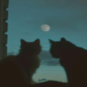 No Nos Keren Juntos (Explicit)