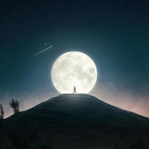 Understand (Explicit)