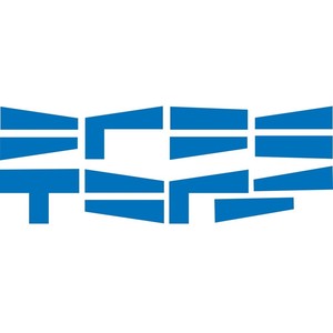 Night Frogs (Original Mix)